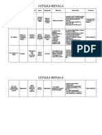 Plan de Ingrijire Litiaza Renală