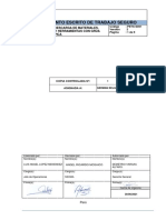 Procedimiento Trabajo Seguro Grutech