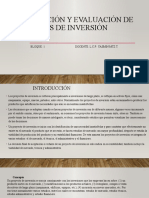 01 Proyectos de Inversion