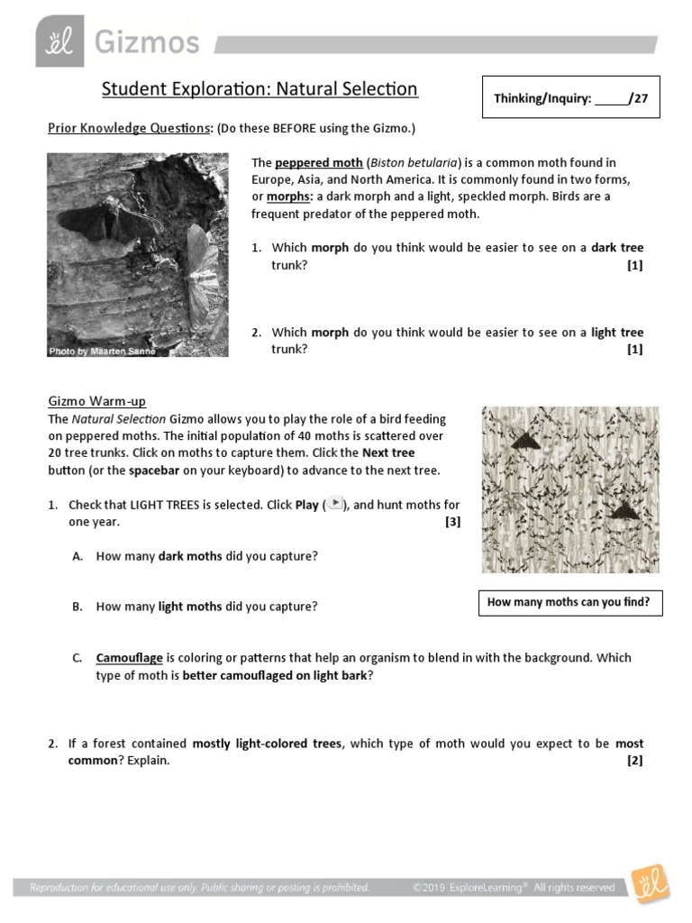 Student Exploration Natural Selection Prior Knowledge Questions PDF