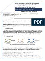 CIENCIAS NATURALES, CICLO 4A, 4B. GUÍA No 4. 3 PERIODO. DOCENTE FELIPE PIÑA - Organized