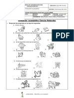 Evaluacion Acumulativa - Ciencias Naturales - Grado Primero