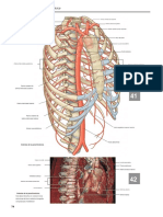 Grays Atlas of Anatomy 16-40.en - Es