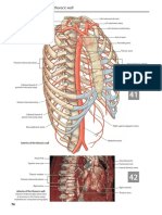 Grays Atlas of Anatomy 16-40