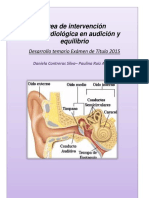 Resumen Audio Desde Audio 1 A Audio 3