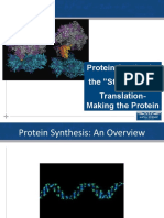 Protein Synthesis-The "Stuff of Life" Translation - Making The Protein