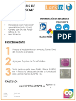 053-07-LAB IT Determinación Concentración CIP VEG SOAP V.ii