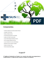 Saúde Única - Vigilância em Saúde Ambiental (Editado01-06)