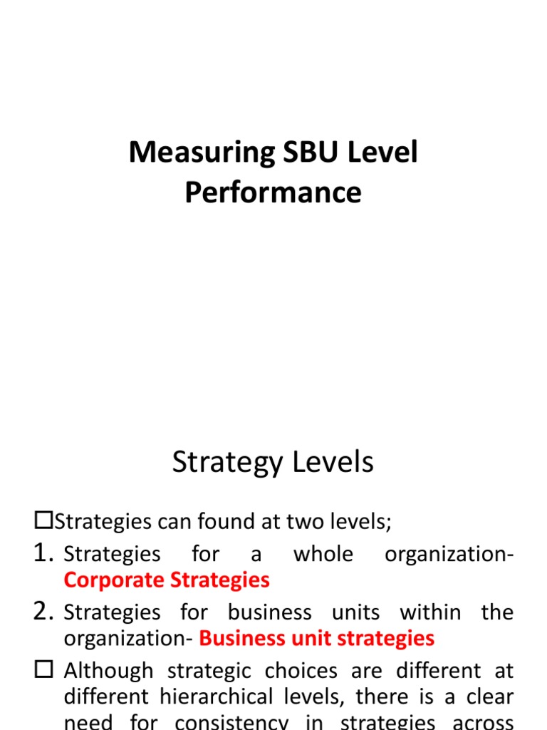 SBU Level Performance Measurement | PDF | Pricing | Profit (Economics)