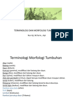 PERTEMUAN 2 Terminologi Morfologi