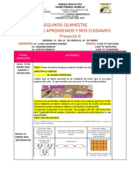 SEMANA 13 Proyecto 6 Segundo Quimestre