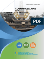 Kabupaten Lampung Selatan Dalam Angka 2020