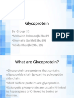 Glycoprotien by GroupII