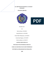 Proposal MKP Praktek Budidaya Tanaman 4B