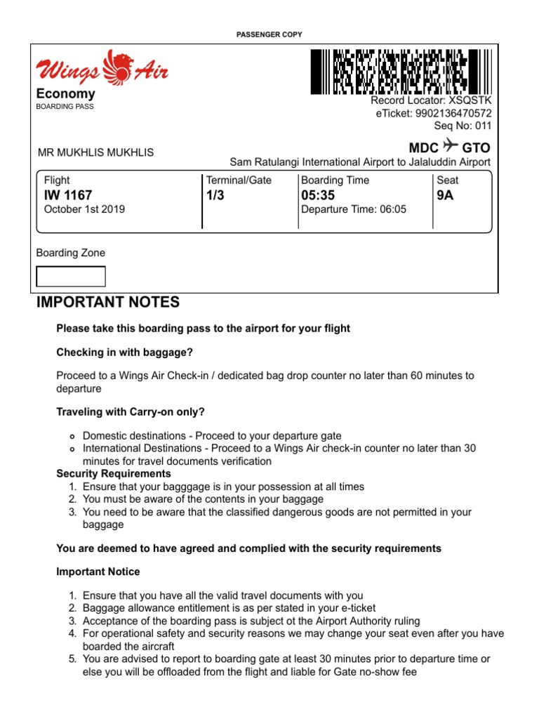 Boarding Pass Wings PDF Baggage Aviation