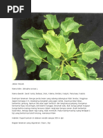 Download JARAK PAGAR by missdisguise SN51196877 doc pdf