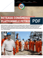 Rețeaua Comănescu (I) - Platformele Petrom - Rise Project