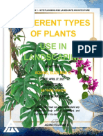Different Types of Plant