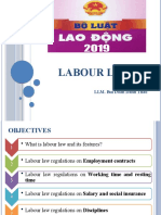 Labour Law: LLM. Bui Doan Danh Thao