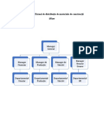 Organigrama Firmei Model Matrice