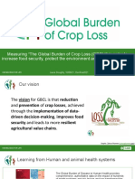 Dr Laura Doughty (CABI) presentation on Global Burden of Crop Loss to DevRes2021 - Wednesday 16 June 2021