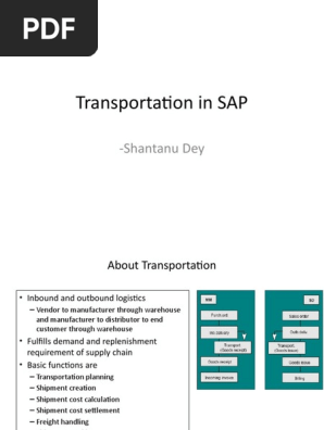transportationinsap-100416012002-phpapp02