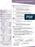 Experiences Professionnelles: Ingenieur Industriel