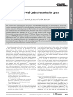 37 Pavlidis, T. Tsoufis, Functionalized MWCNT