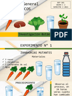 Experimentos