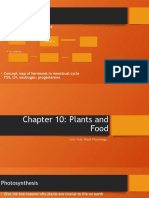 Plants and Food