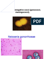 Theme: Gramnegative Cocci (Gonococci, Meningococci)