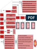 Mapa Visão - Gabriela Job