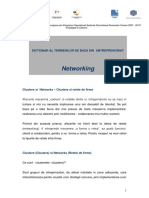 Clustere-Clusters-si-Networks-Retele-de-firme