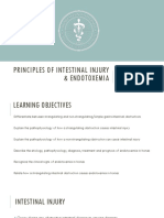Lecture 2 Principles of Intestinal Injury & Endotoxemia