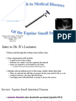Lecture 3 Approach to Medical Diseases of the Equine Small Intestine