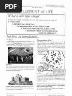 Download KISS NOTES by Nalini Prakash SN51200780 doc pdf