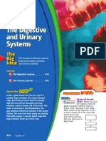 Chapter_24_The Digestive and Urinary Systems
