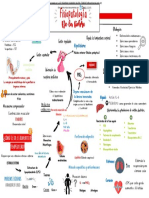 Fisiopatologia de La Fiebre