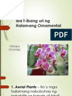 Uri NG Halamang Ornamental