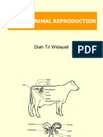 Ahis-Female Reprod System