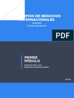 Principios de Negocios Internacionales - Netzum