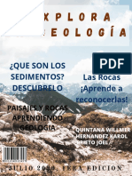 Revista Geologia
