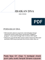 6-PERBAIKAN DNA