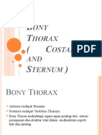 4.bony Thorax