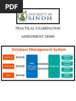 Farwa'SAssignment (DataBase)