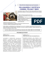 Peluqueria y Estetica Canina