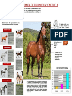 Equino Keismar PDF