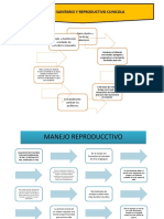 Manejo Sanitario y Reproductivo de Cunicultura Key