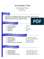 Curriculum Vitae 1