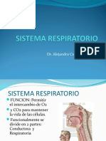 S. Respiratorio